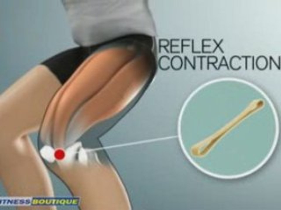 Plateforme vibrante COMPEX - WINPLATE