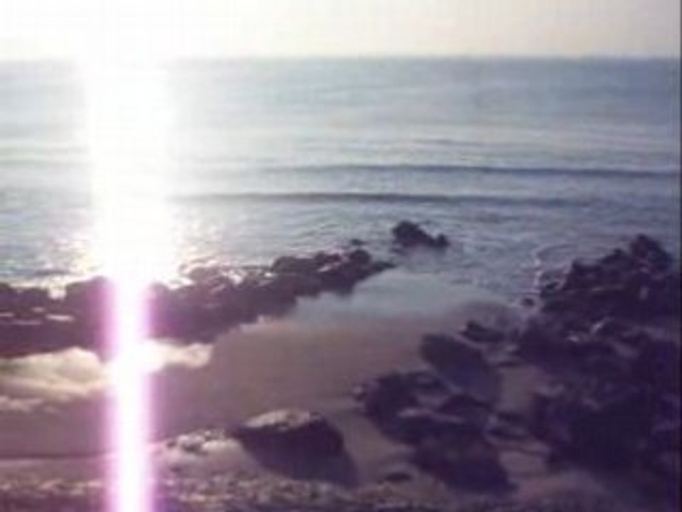 BERCK BRUIT DE LA MER (3) 12/08