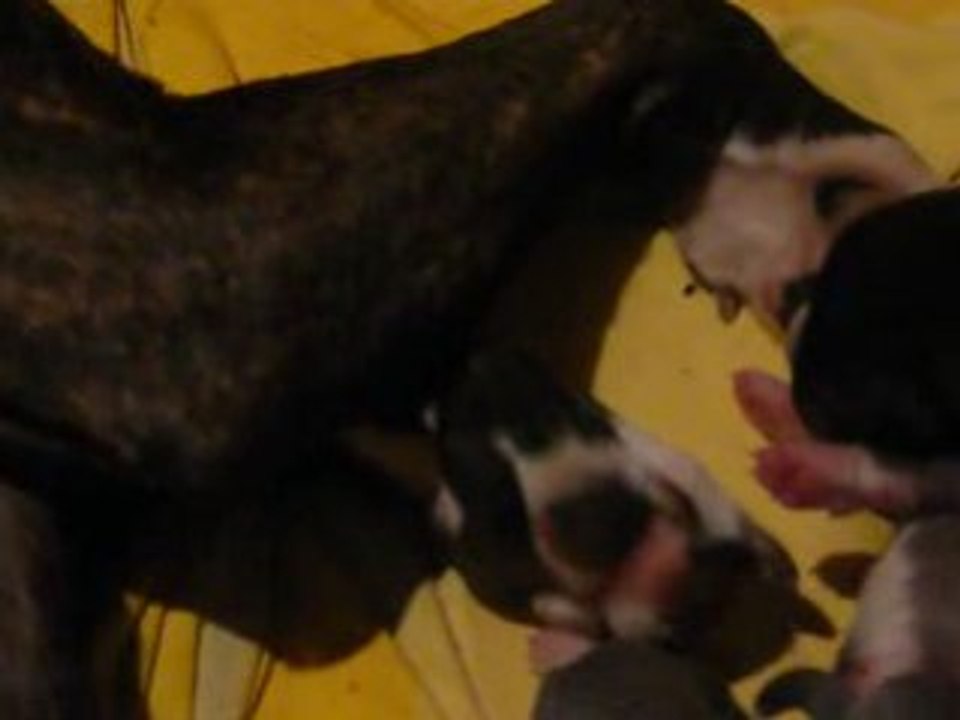 bebes deja 1 ans