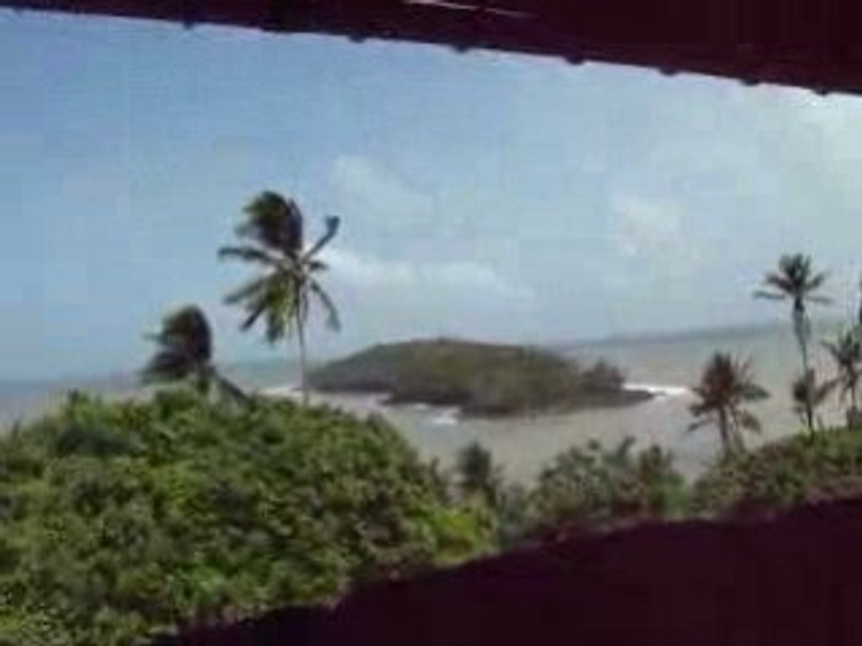 Un drôle d'oiseau