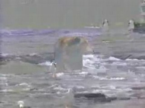 gossip girl saison 1,2 streaming fr/vostfr