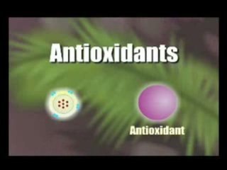 Mona Vie już w Polsce!