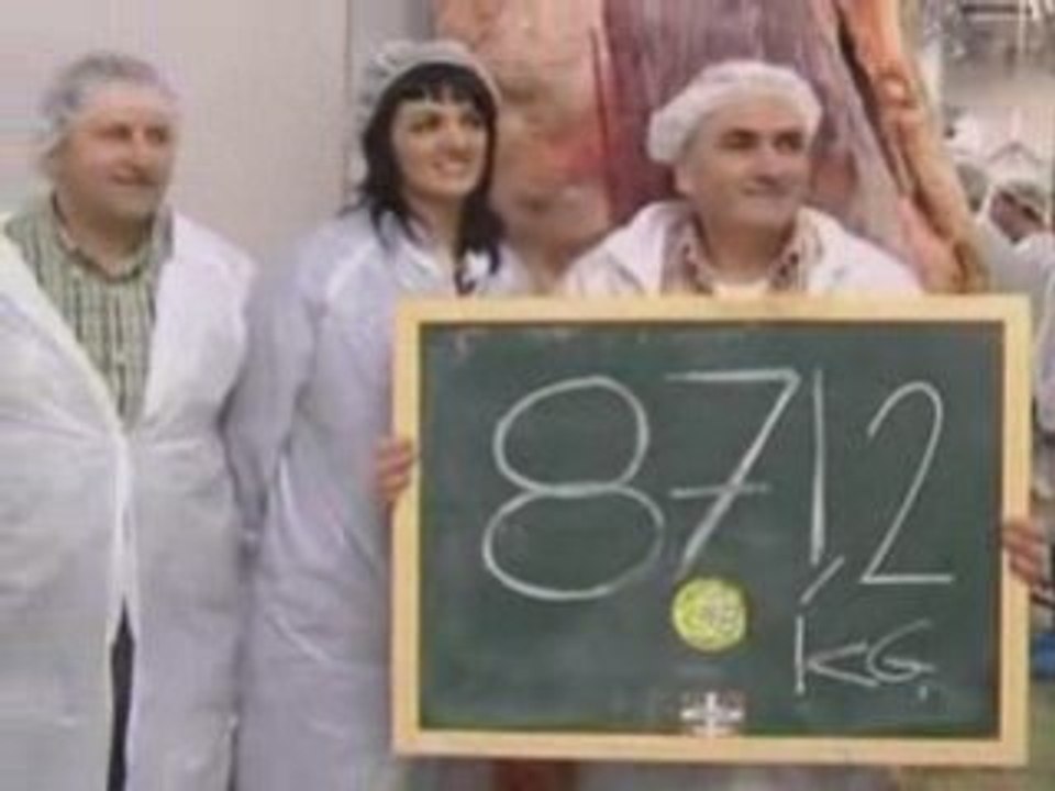 Fat cow found in Spain
