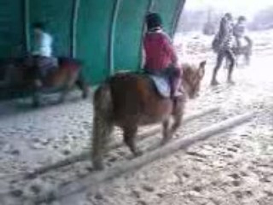 Clara poney 21.01.09 006