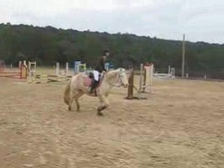 Yule & SandrOu Mazet 2008 (E3)