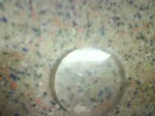 l'apocalipse de mister croco 1