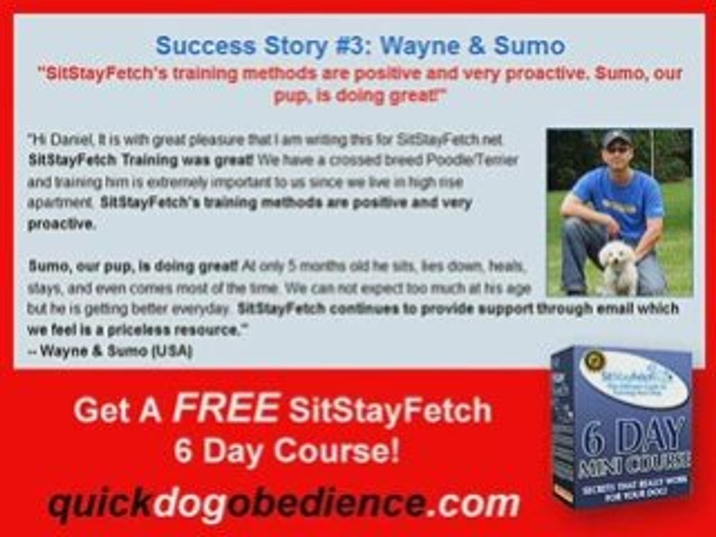 ⁣Dog Obedience Training Secrets