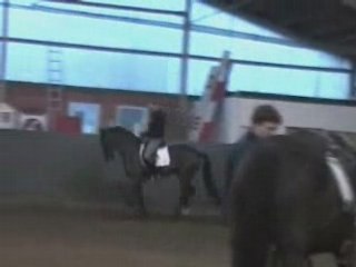 Fürst Heinrich komplett3