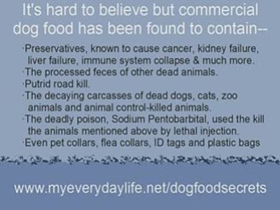 True Wellness Dog Food is the Kind You Make Yourself