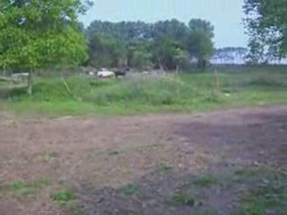 Ford Fiesta Pick-up Mimi 2