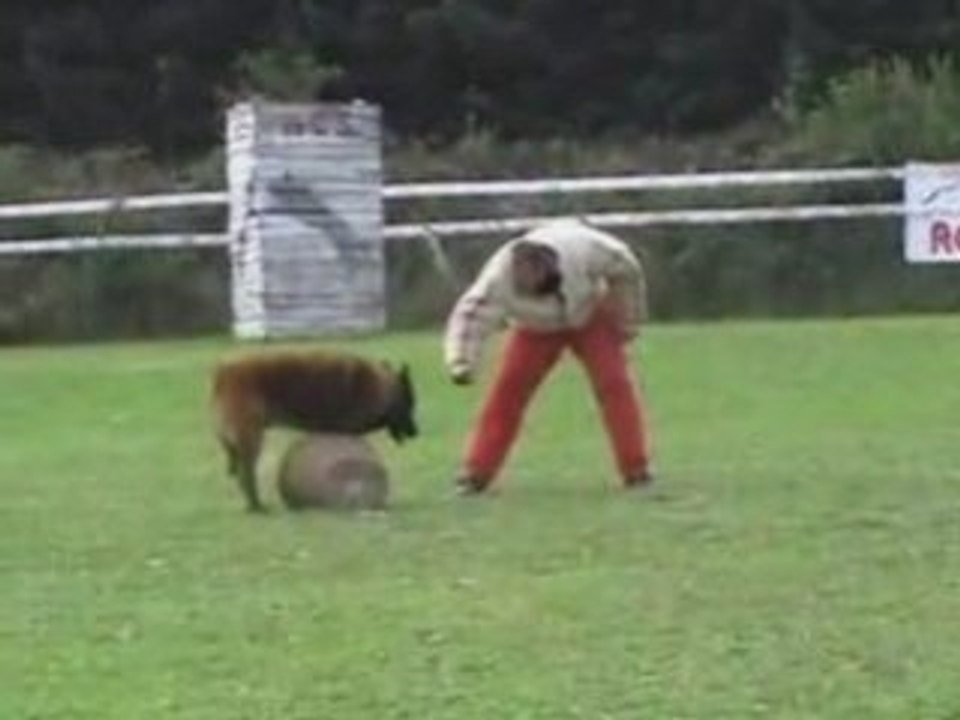 VAL GARDE D'OBJET RING