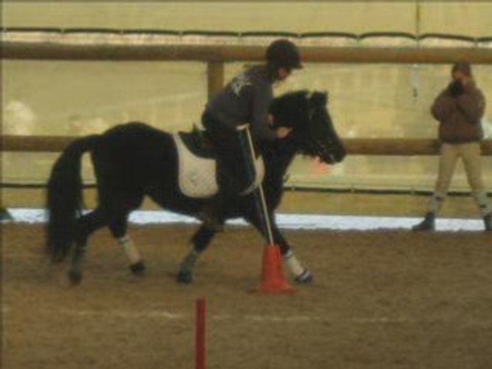 Shirlstone PG Lola
