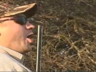 Dove Hunting in Argentina