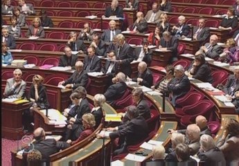 Francois Rebsamen : question au gouvernement (Sénat)