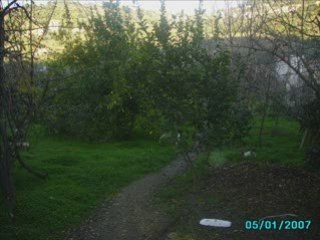 Brahim Tayeb "lemhibam"