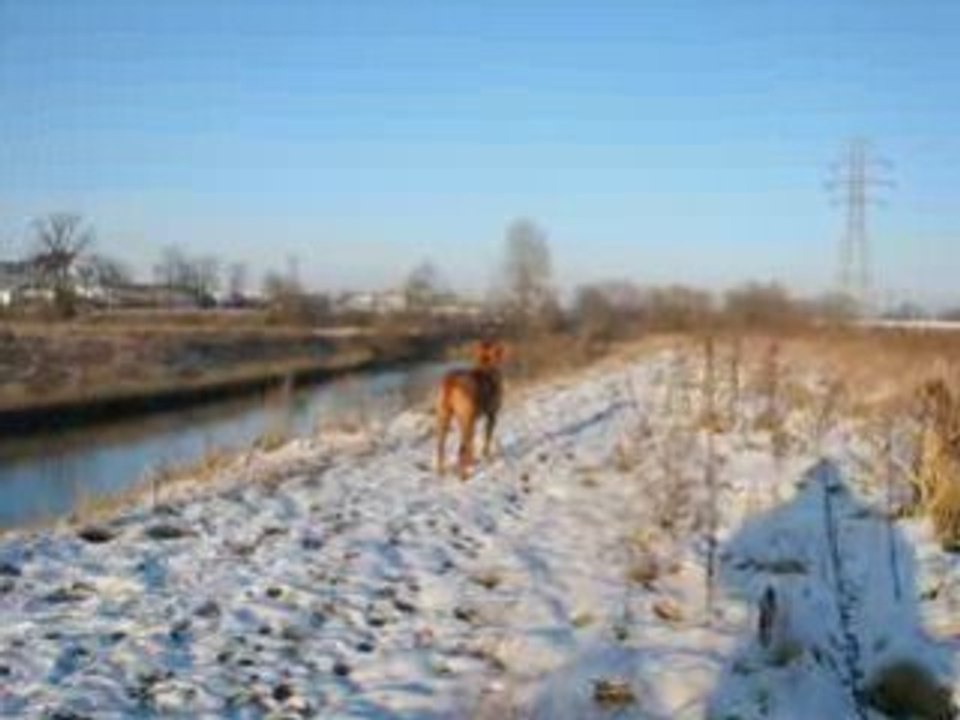 46winter011 - Vivaldi 4 Seasons part 1