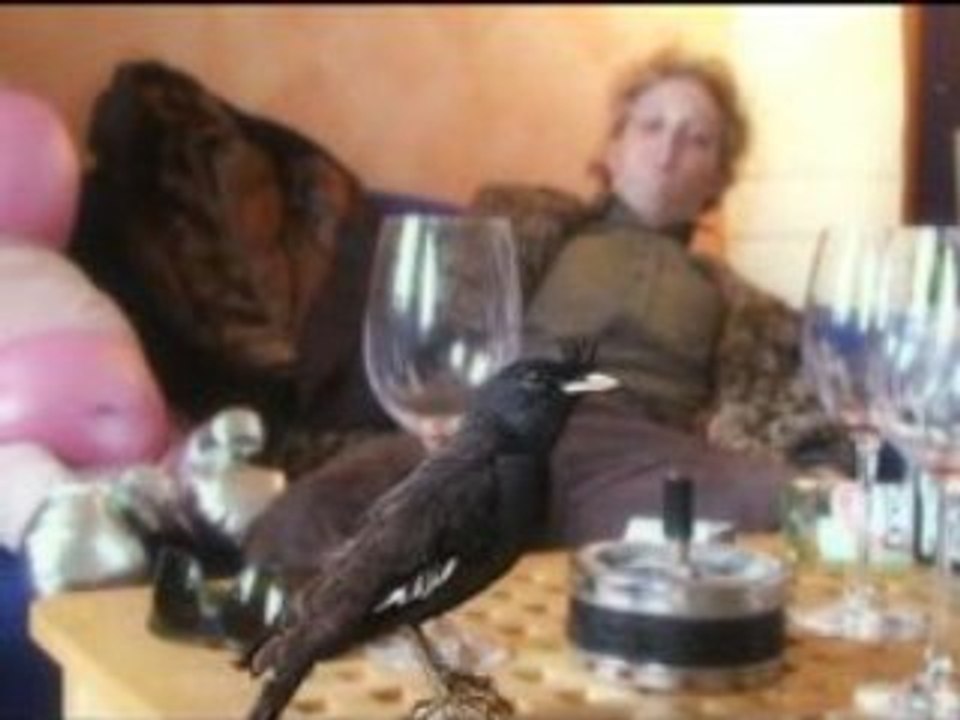 RingDingaDing Ringtone