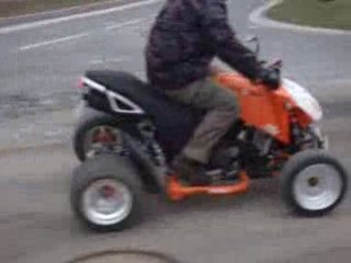 Bashan 300 raz-bitume 1