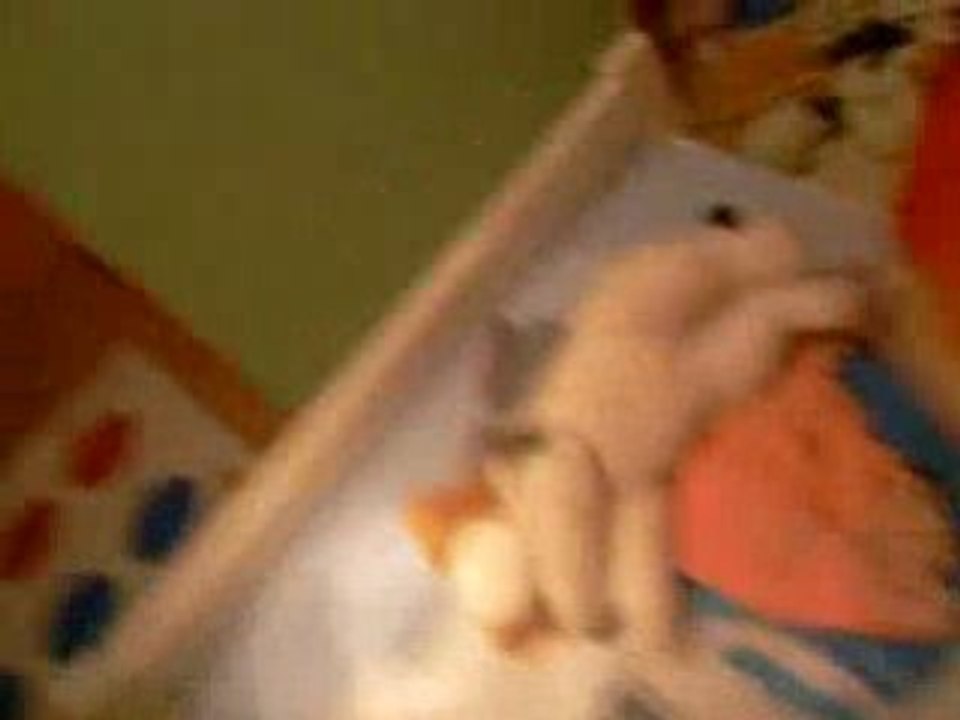 La mini Soeurette de Agata & moi Haha