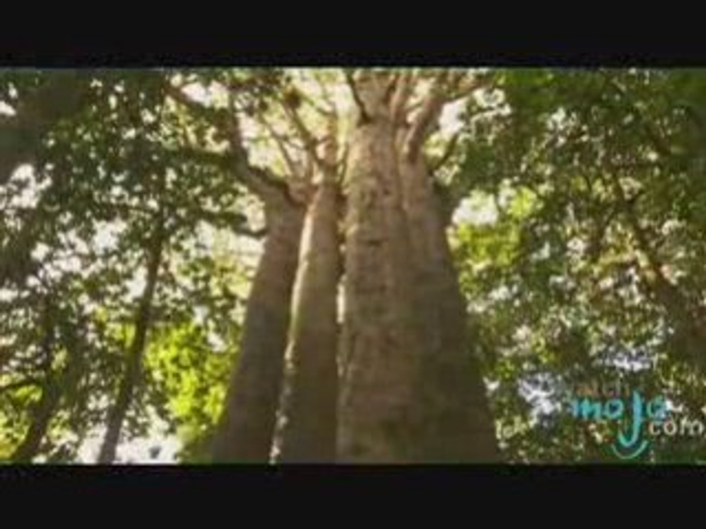 ⁣Travel Guide - New Zealand
