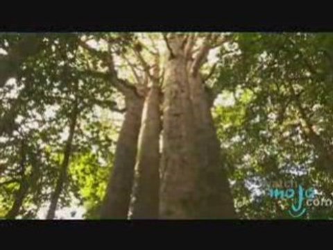 Travel Guide - New Zealand