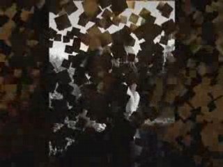 Eux plus que tout __