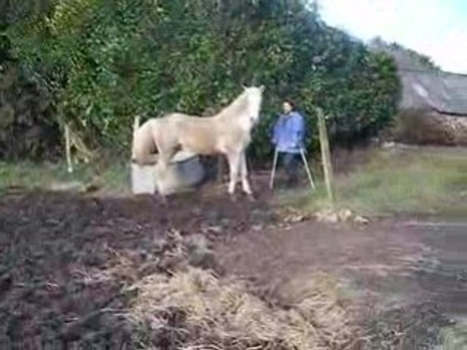 kenia