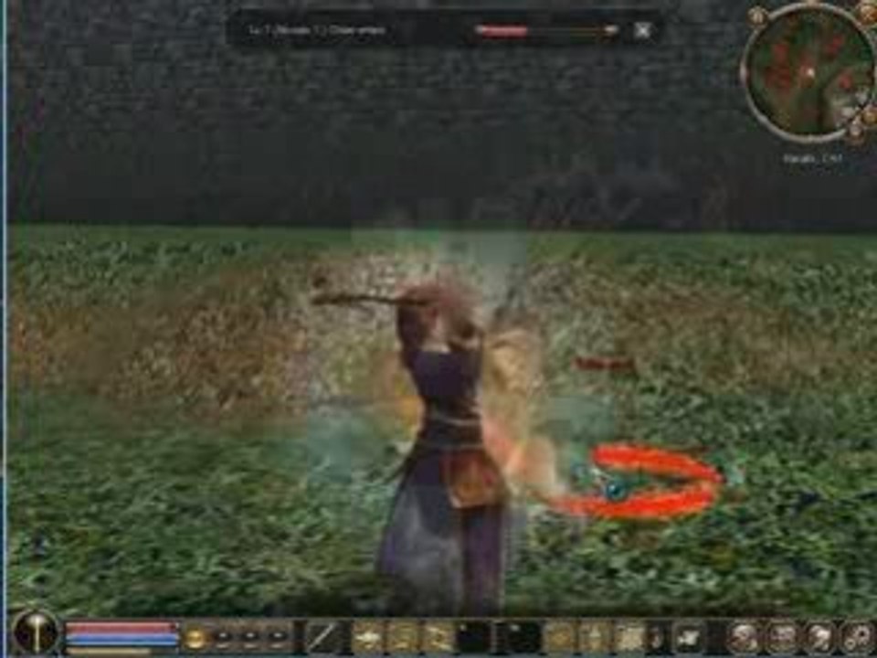 Metin2