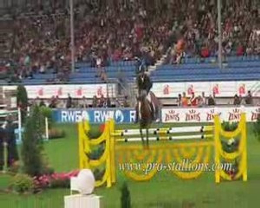 Ces chevaux qui nous font rêver