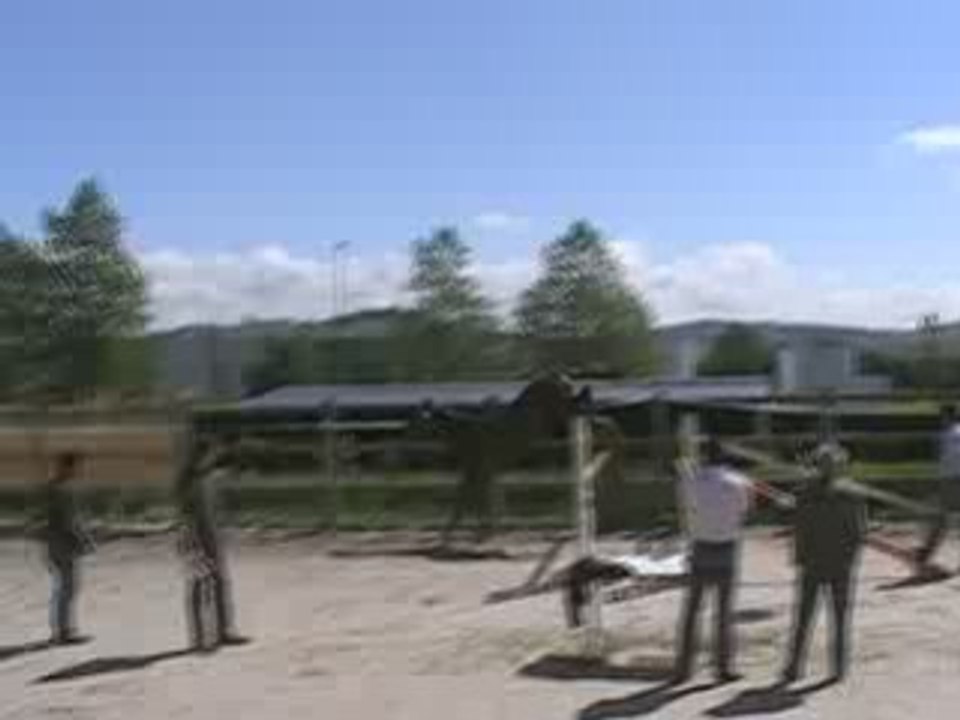 Rève de Laredie par Elan de la Cour