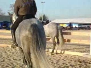 Cheval Passion 2009 (4)