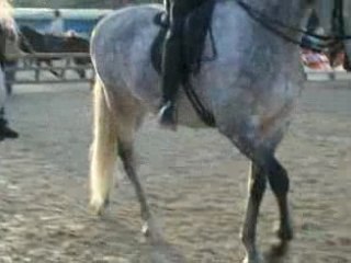 Cheval Passion 2009 (5)