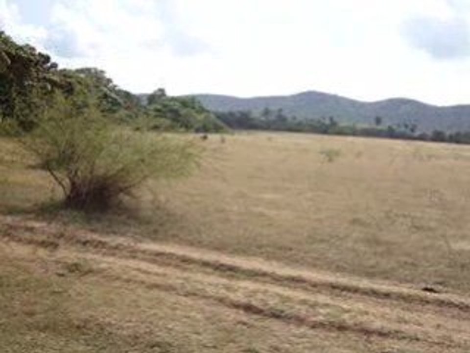 MOV03032