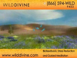 Stress Management Techniques