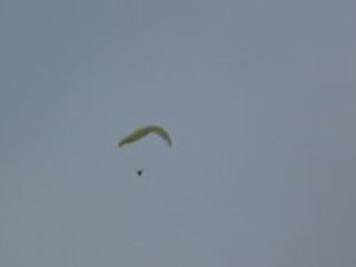 Tests Usp Villeneuve ..