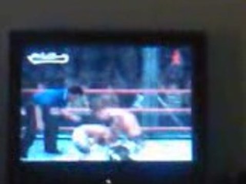 SDVSR2009 Created Finisher