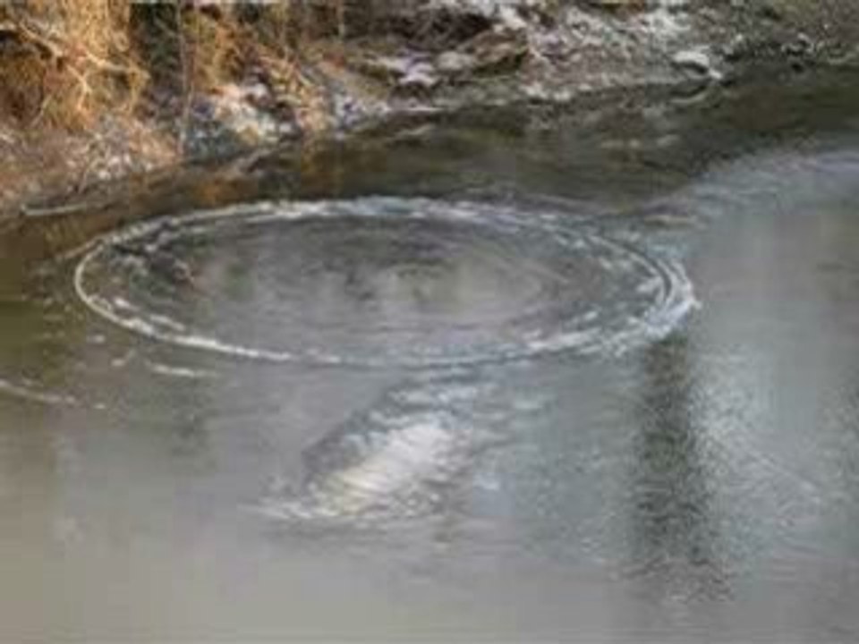 Rattray Marsh "Creek Circle"