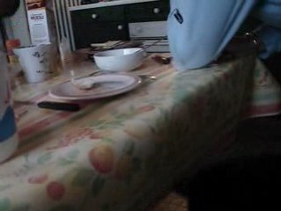 Le chat voleur de couteau !