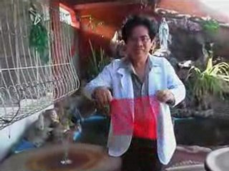 SILK TO ROSE by Dr. Gertes