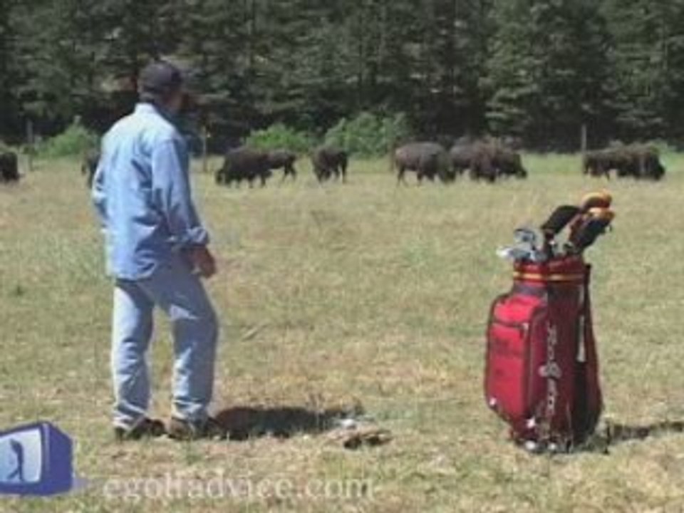Buffalo Golf Instruction -www.eGolfAdvice.com Episode 4