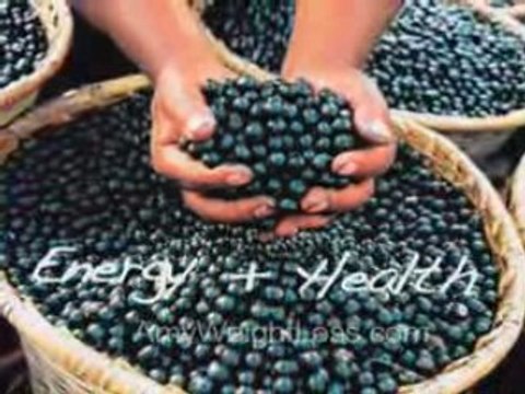 Acia Berry Weight Loss: I Lost 44 Pounds in 10 Weeks