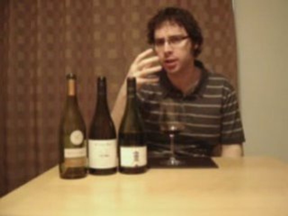 Video Blog #10 - Two Quality Mid Range Pinots from Chile