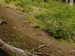 Strimoo.com - Cedric-gracia-fabien-barel-nwd8 - Dailymotion