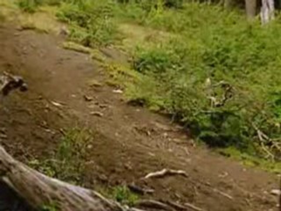 Strimoo.com - Cedric-gracia-fabien-barel-nwd8 - Dailymotion