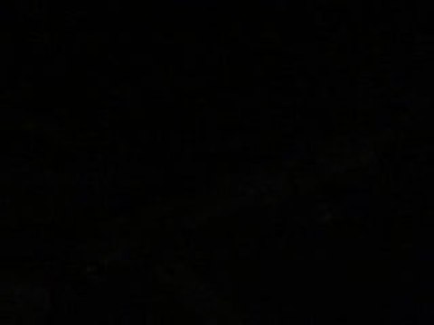 Honda CB Hornet 600 2001 pot scorpion