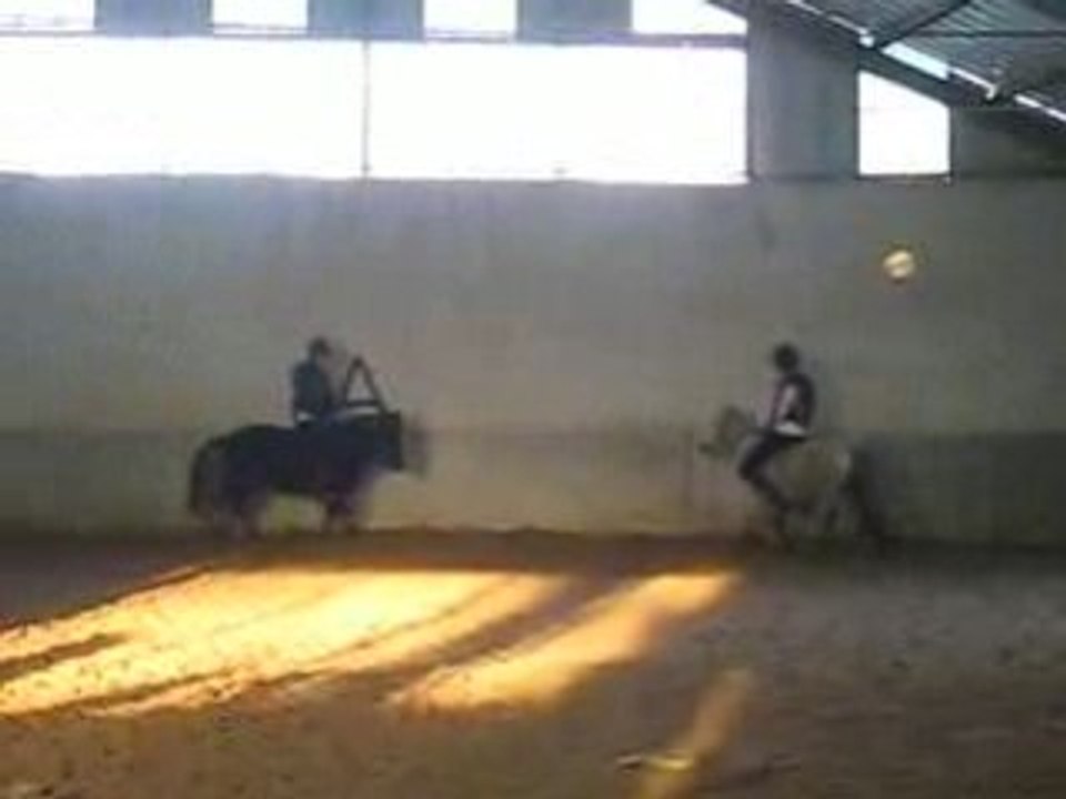 amazone et moi