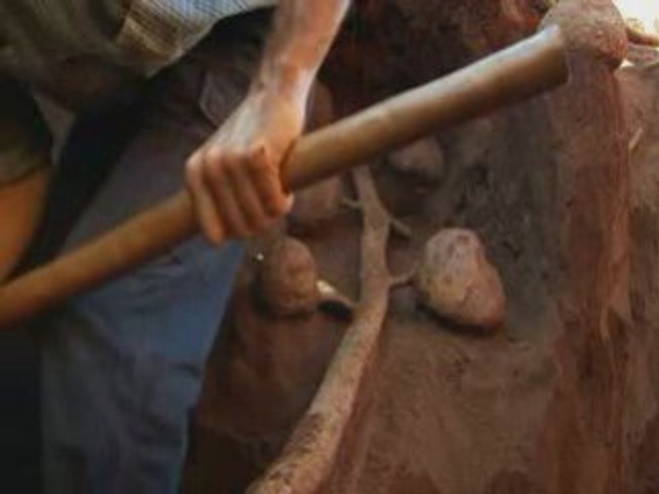 Ciment et fourmillère