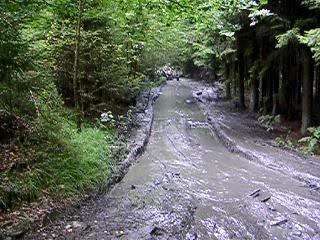 BUGGY COX SPA FRANCORCHAMPS 2