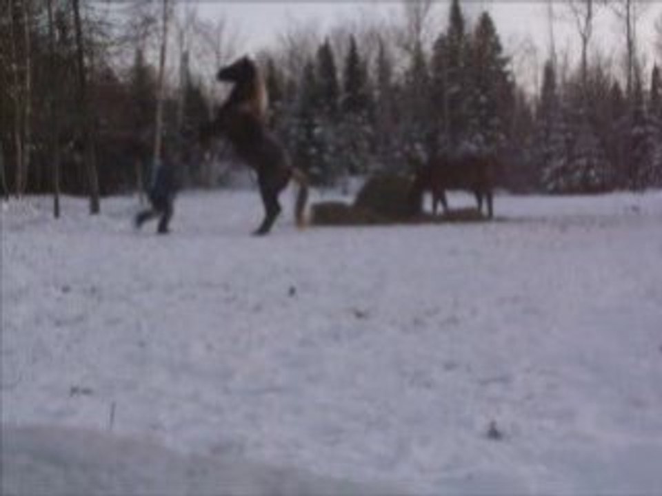 Sceance auto filmer 16 janv09