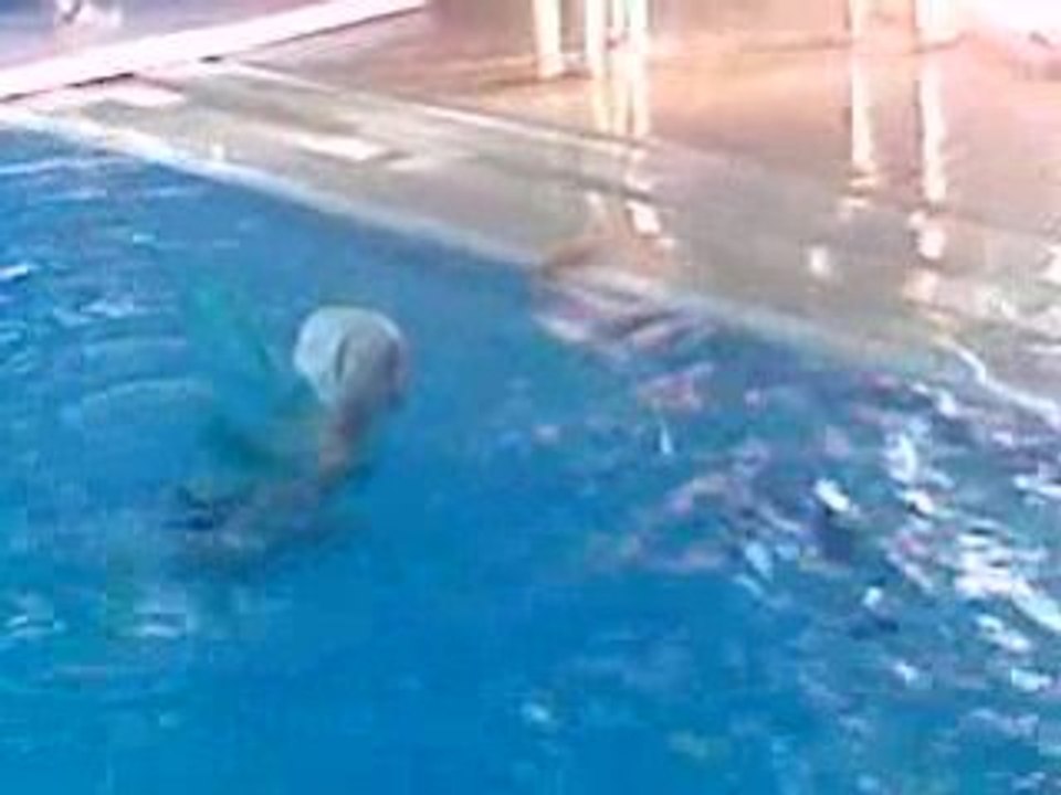 enfin reussi tout seul comme un grand